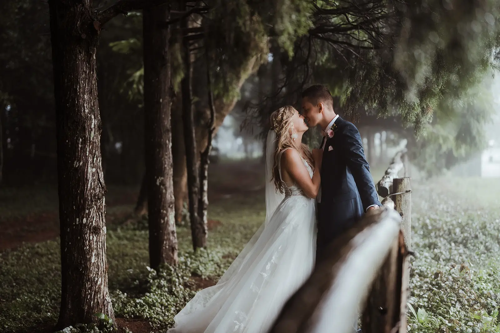 A kiss among the pines in the mist, the gate rail beside them, Rosewood Estate, Beechmont