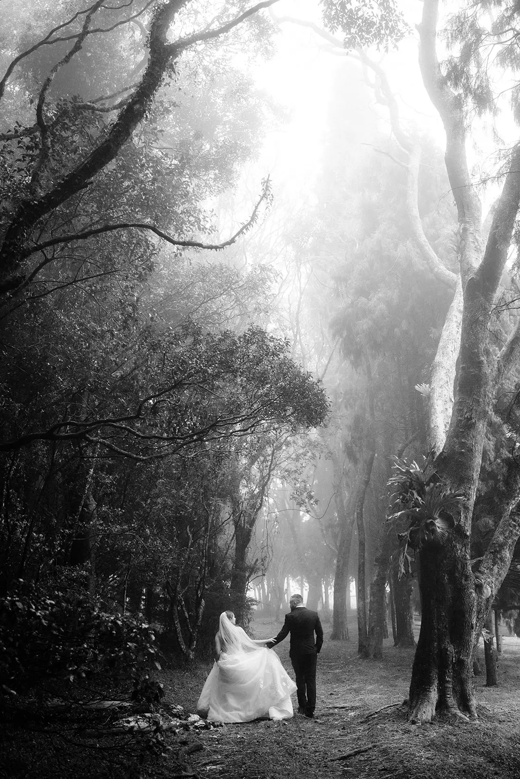 Black and white — the couple on the misty path into the trees, Rosewood Estate