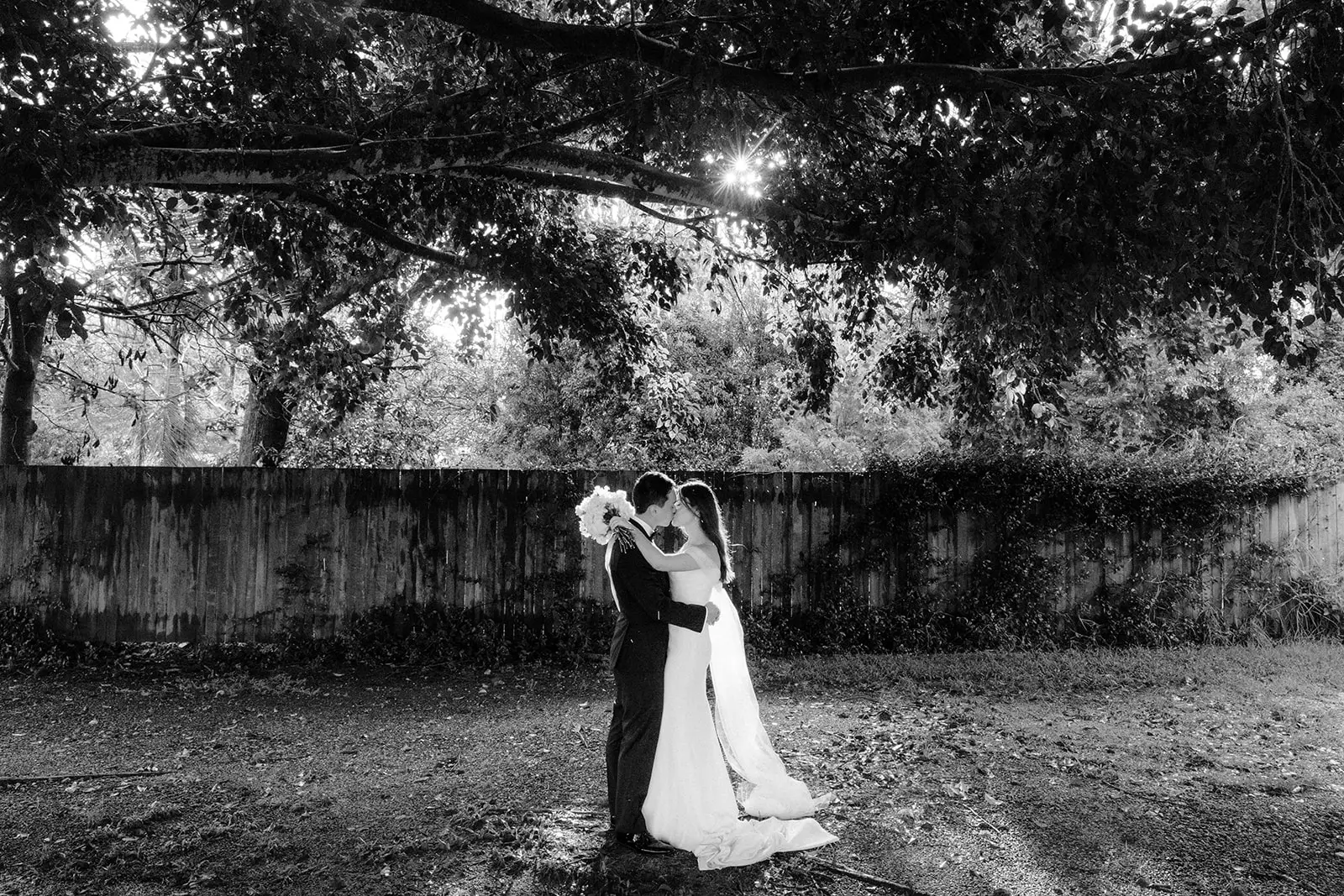 Black and white — the couple beneath the old tree by the wall, Summergrove Estate