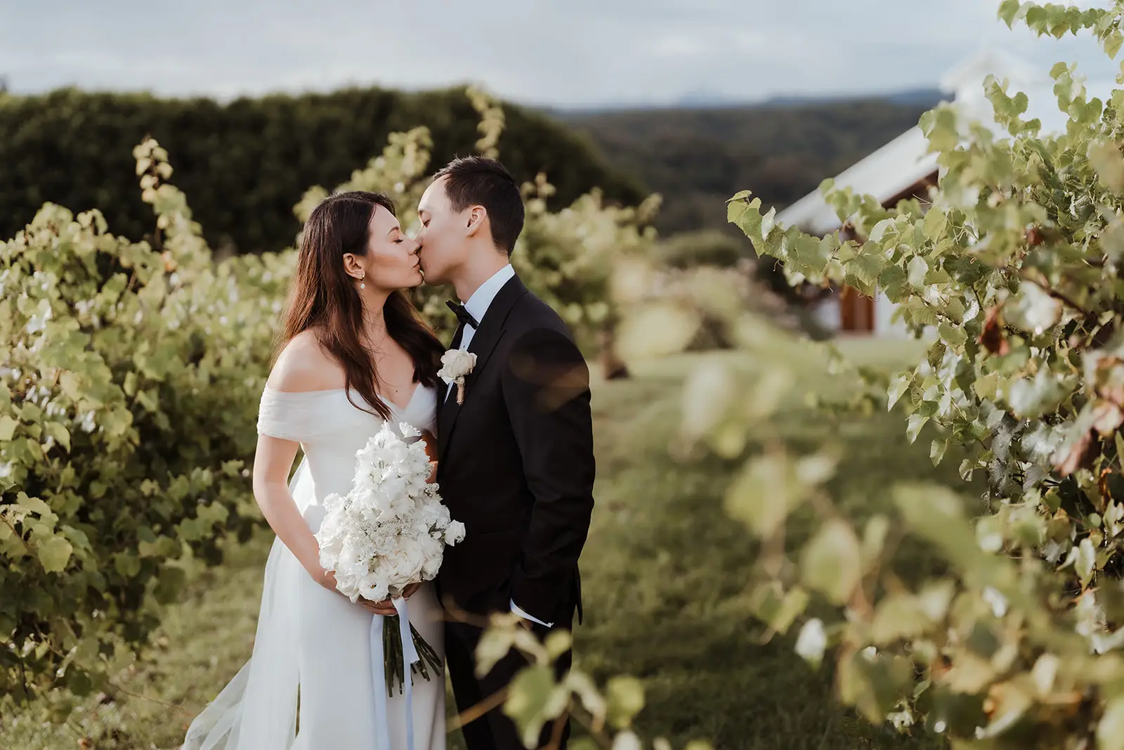 A kiss in the vineyard rows, Summergrove Estate