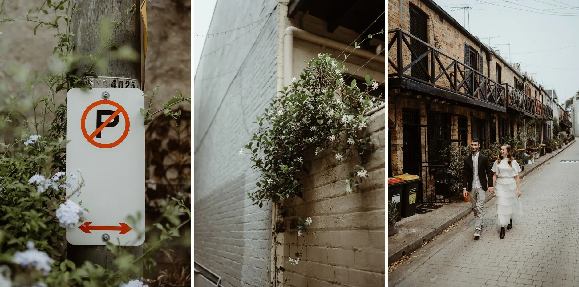 Details of the laneway — a no-parking sign, climbing greenery and old brickwork, Surry Hills