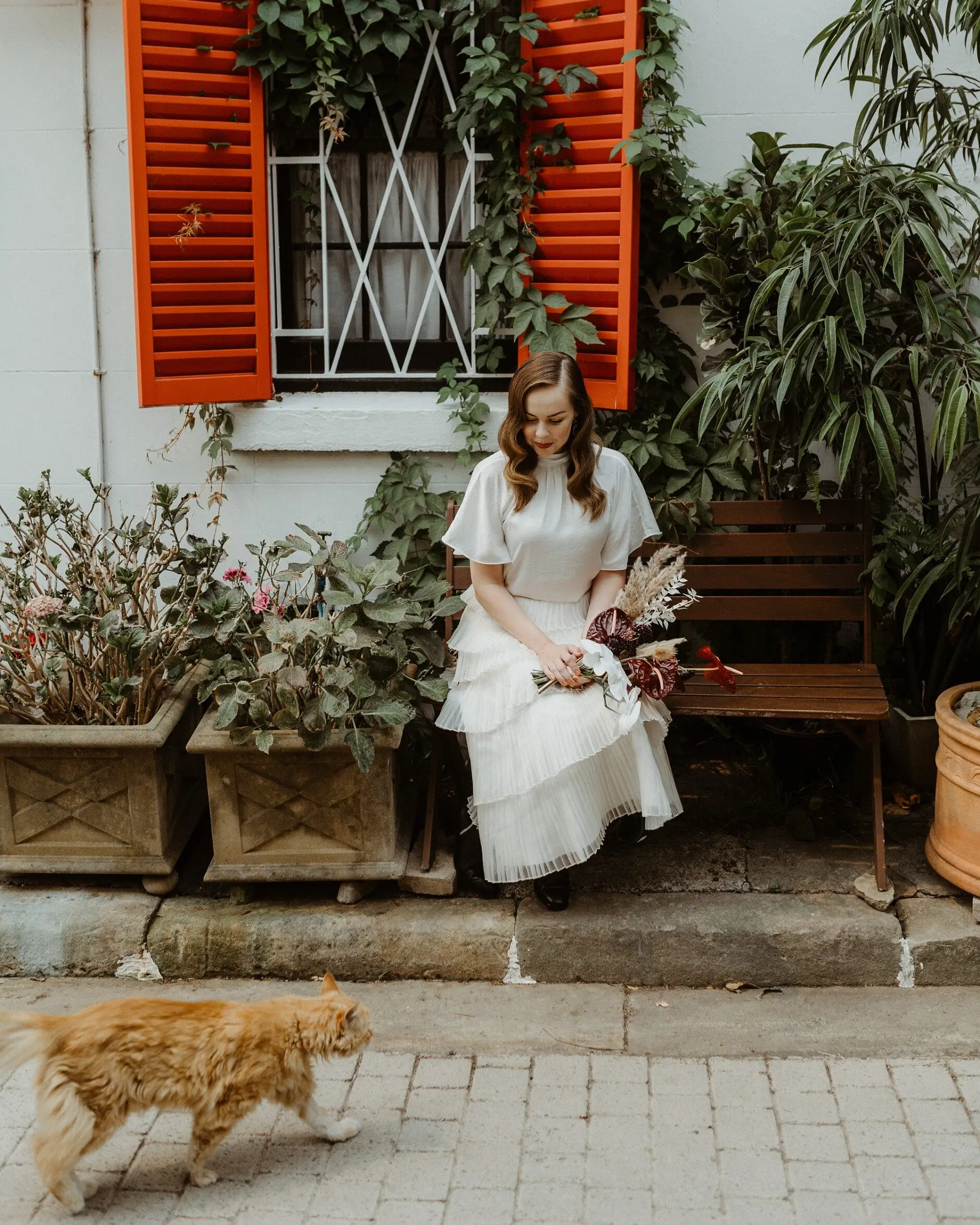 The ginger cat wandering past Sophie on the bench, Surry Hills