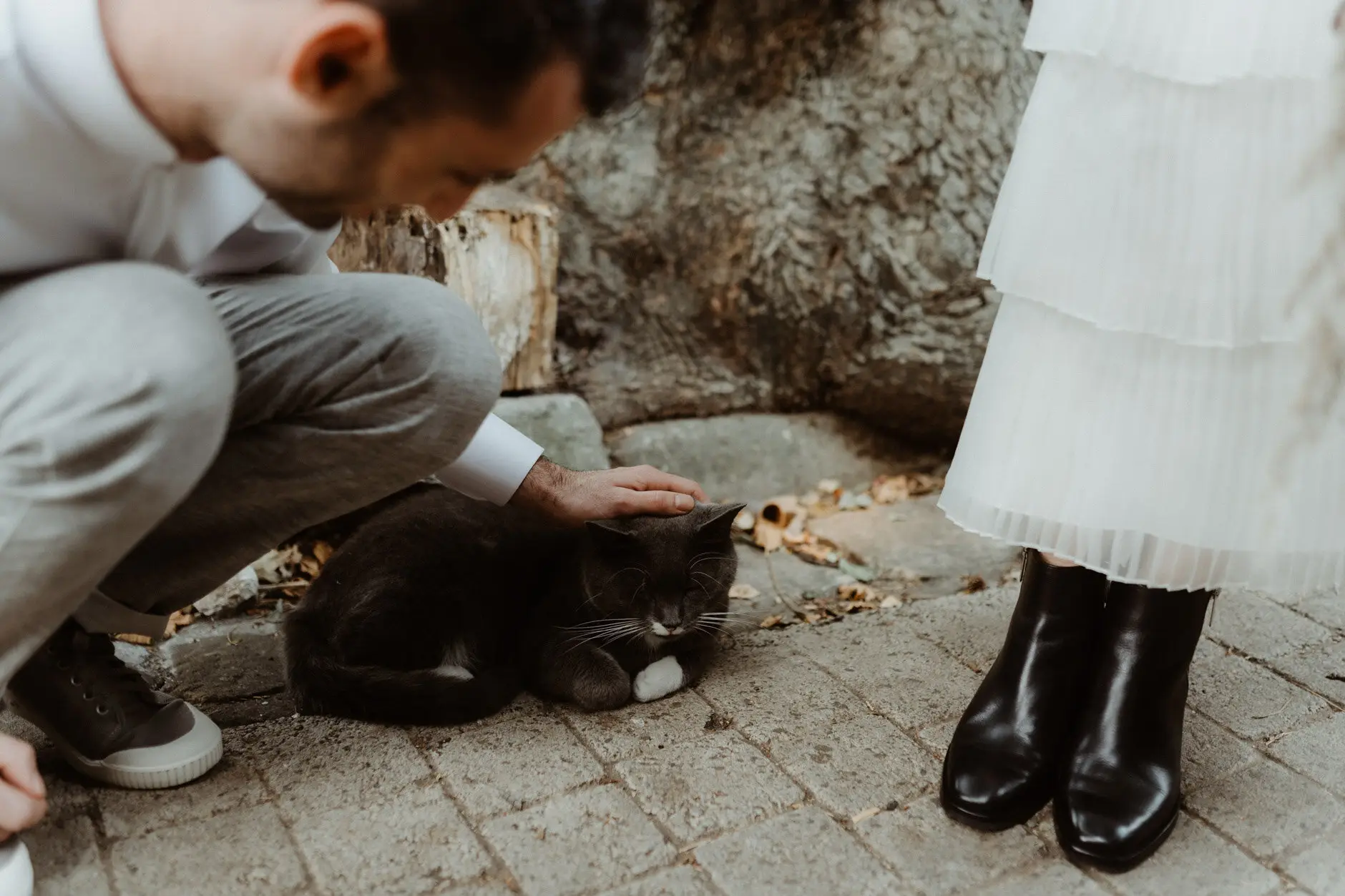 Sophie and Jonathan crouching to pet the ginger cat on the footpath, Surry Hills