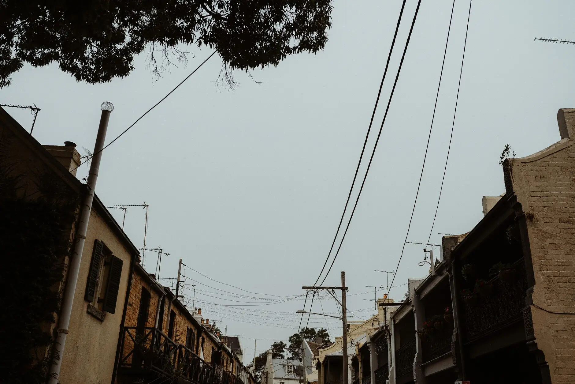 Power lines and old rooftops over a Surry Hills back lane