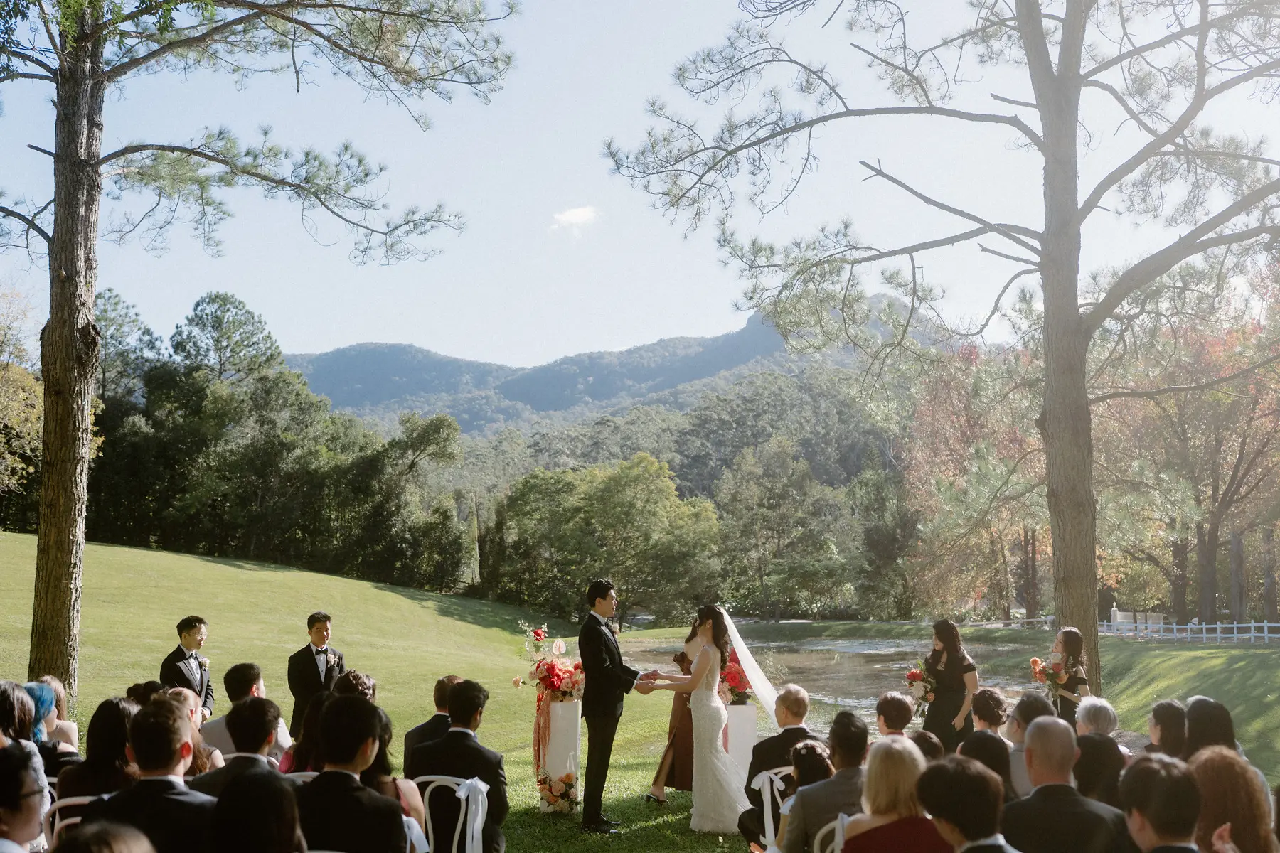 The ceremony on the open lawn with the ranges rising behind it, Tall Trees Tallebudgera Valley