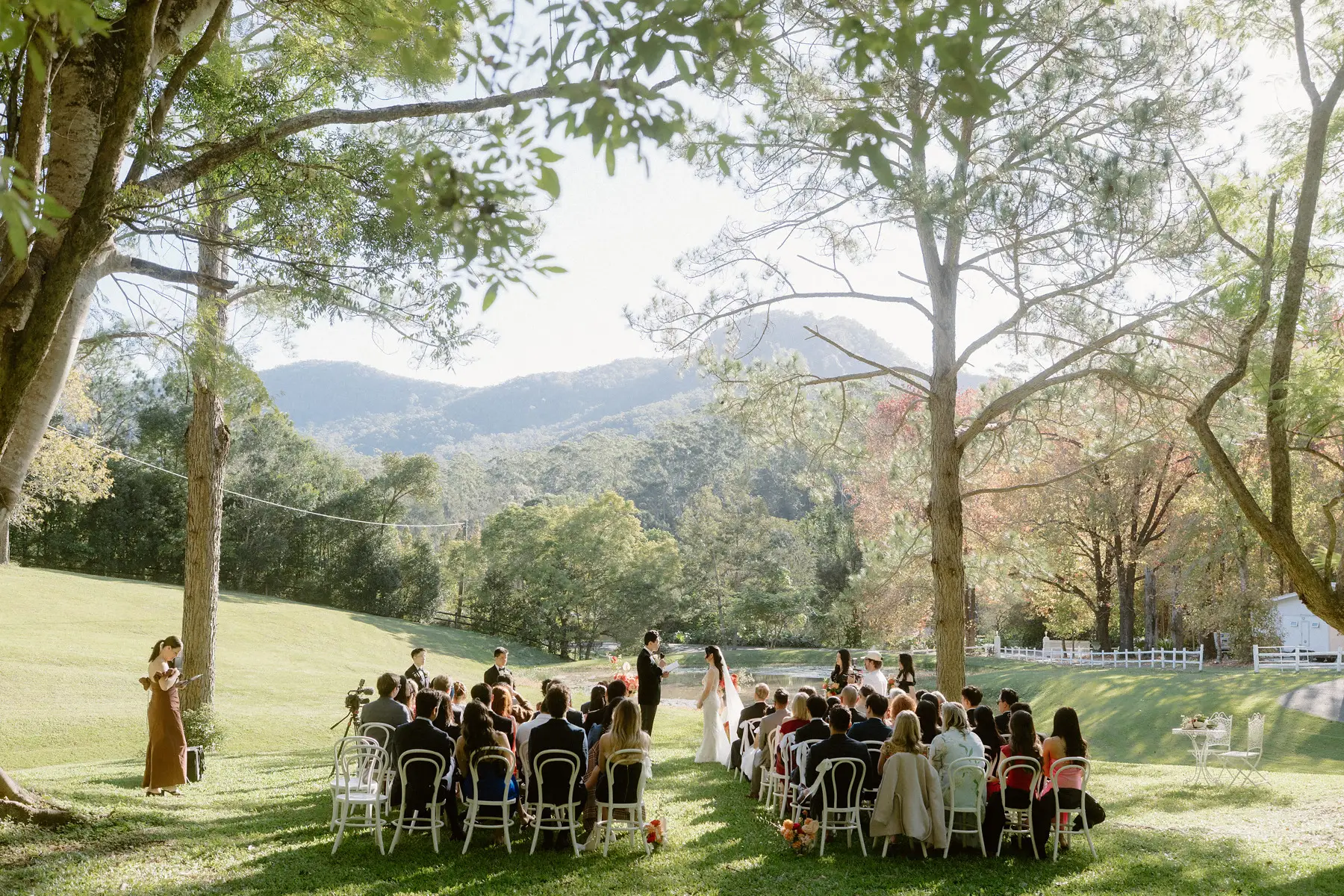 The whole ceremony from behind the guests, framed by the gums with the valley beyond, Tall Trees Tallebudgera Valley