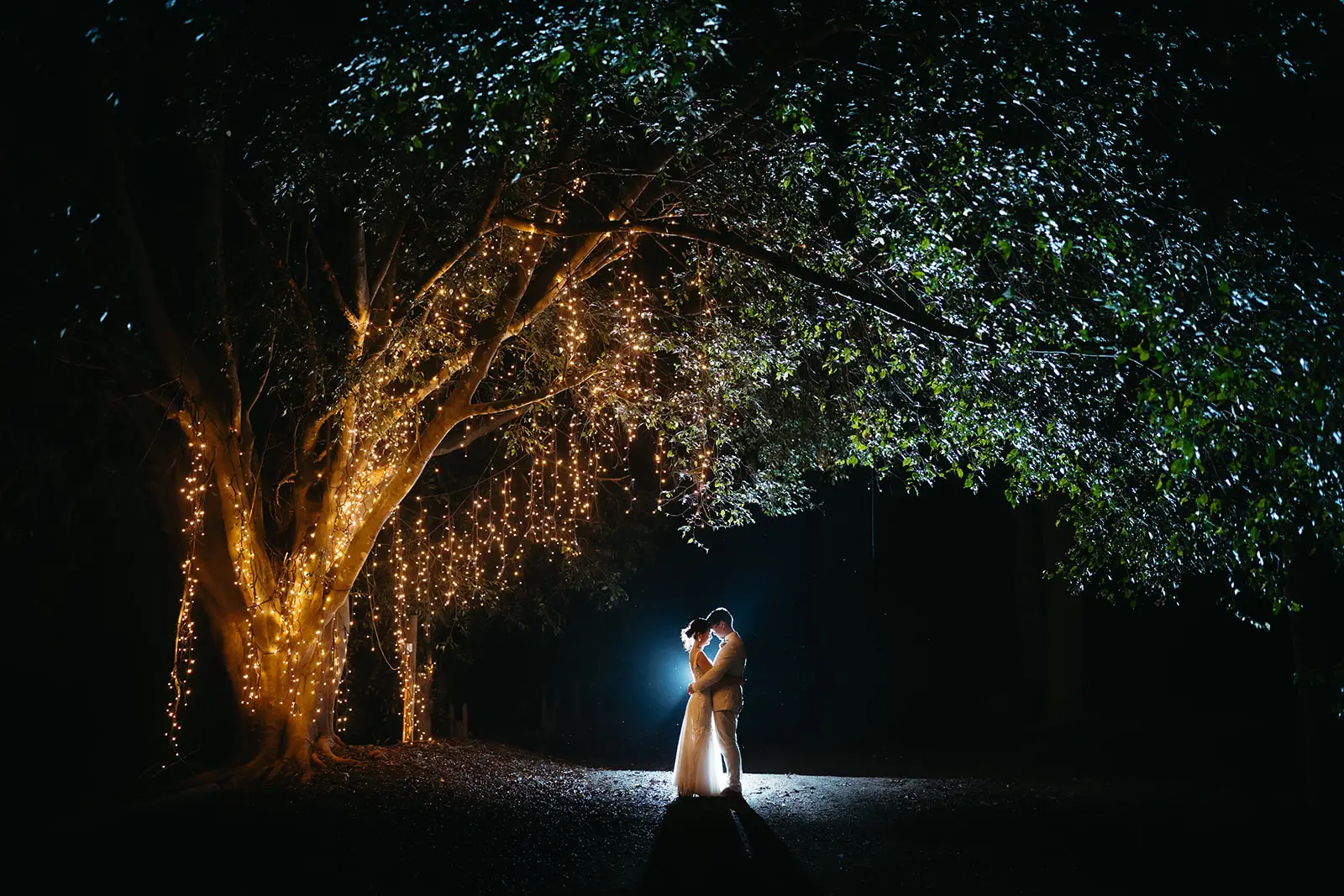 The couple beneath the fairy-lit tree after dark, The Acre Boomerang Hills