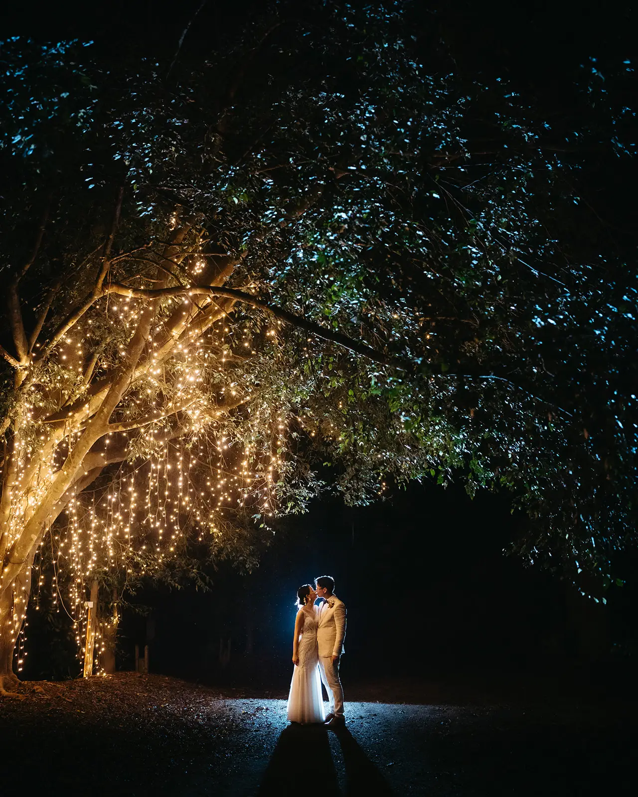 Under the curtain of fairy lights in the big tree, The Acre Boomerang Hills